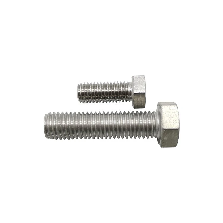 Stainless Steel Hexagon Head Screws